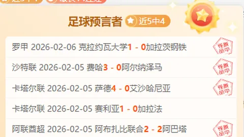 德米纳尔十连胜创佳绩，辛纳携手晋级男单四强